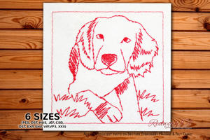 Boykin Spaniel Dog