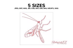 Ichneumonidae