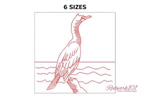 Great Black Cormorant