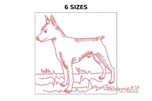 Standing Miniature Pinscher Dog