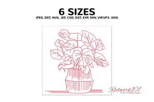 Libra Plants