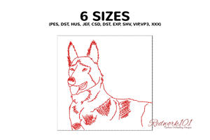 Belgian Shepherd Dog Portrait