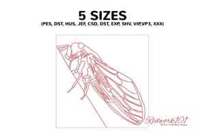 Cicada