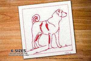 Kangal Shepherd Dog Standing