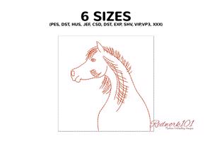 Light Bay Arabian Horse