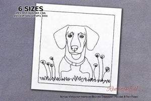 Cute Daschund Dog