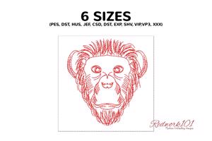 Chimpanzee Head