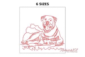 Rottweiler Dog
