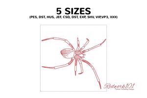 Common House Spider