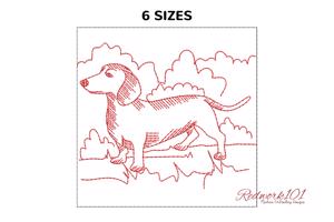Cute Dachshund Dog