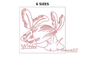 Banana Rasp Snail