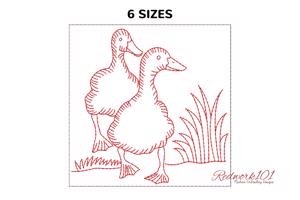 Pair of ducks on grass
