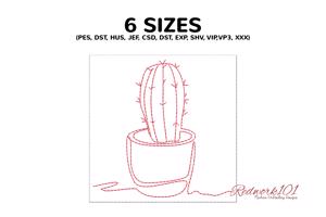 Cacti succulents
