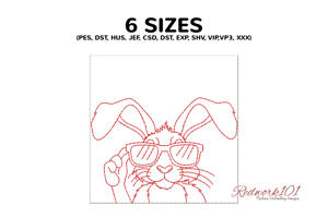 Cool Hare with Sunglasses