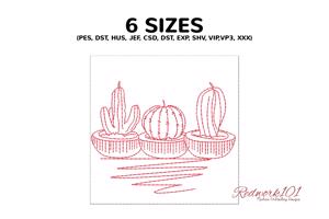 Three types of cactus plant