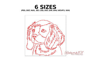 Cavalier King Charles Spaniel Dog Head
