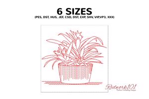 Leo Plants