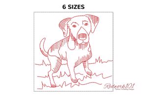 Pointer Hunting Dog