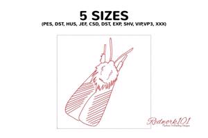 Whitefly