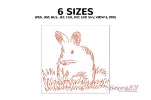 Fluffy White Rabbit