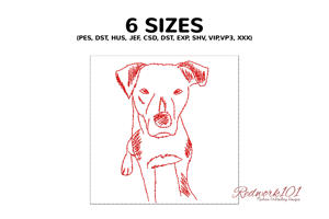 Black Mouth Cur Dog