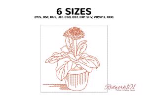 Fresh Garbera daisies flower in pot