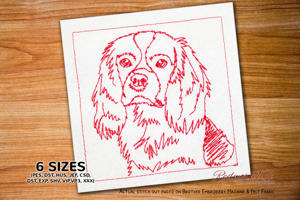 Cavalier King Charles Spaniel Face