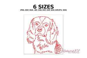Cavalier King Charles Spaniel Face