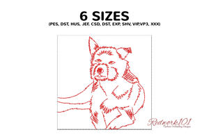 Dutch Smoushond Dog Portrait
