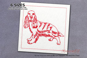 English Cocker Spaniel Pet Dog
