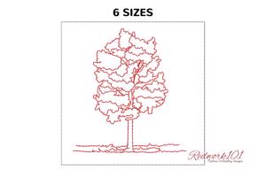 Poplar Tree