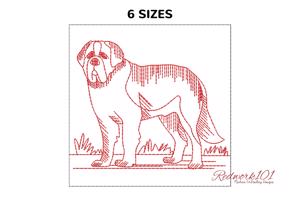 St. Bernard Dog