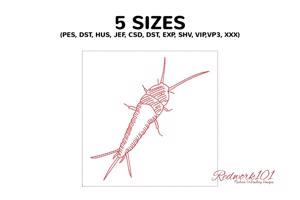 Apterygota