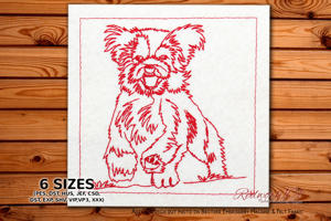 Energetic Havanese Dog