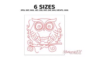 Owl with Big Eyes