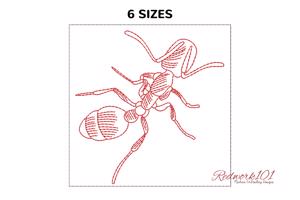 Pharaoh Ant