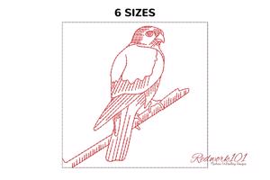 American Kestrel