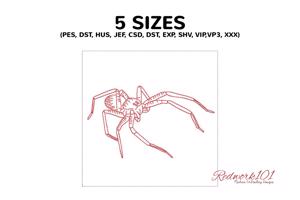 Brown Recluse Spider