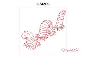Belt worm