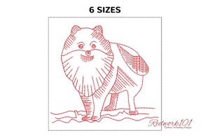 Pomeranian Dog