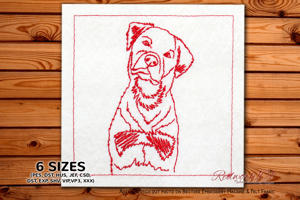 Rottweiler Dog Standing