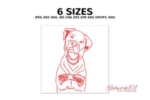 Rottweiler Dog Standing