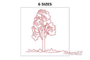 Birch Tree