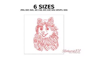 Cute Pomeranian Dog Breed