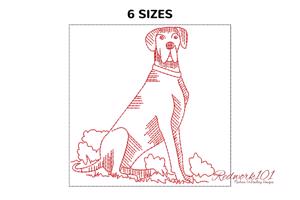 Great Dane Dog