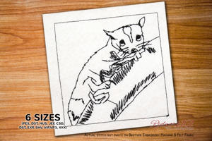 Small Sugar Glider on Branch