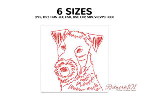 Airedale Terrier Puppy