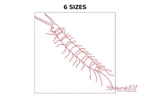 Centipede worm