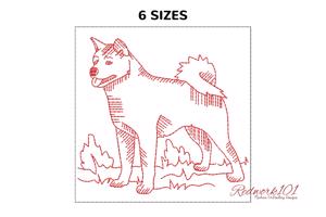 Akita Dog