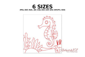 Single Seahorse Underwater